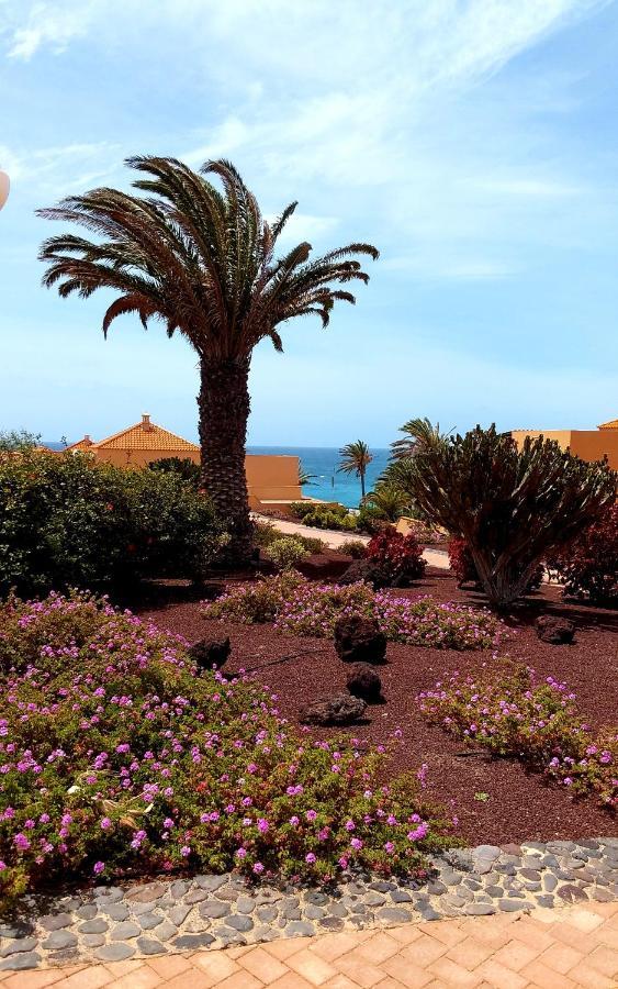 Grani Mar Daire Costa Calma Dış mekan fotoğraf